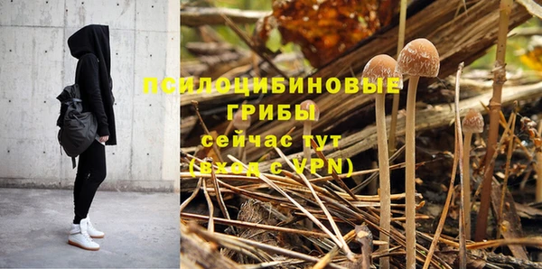 дурь Алзамай