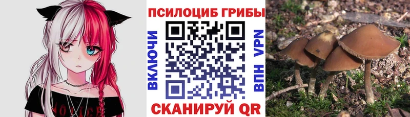 Псилоцибиновые грибы Psilocybine cubensis Павловская